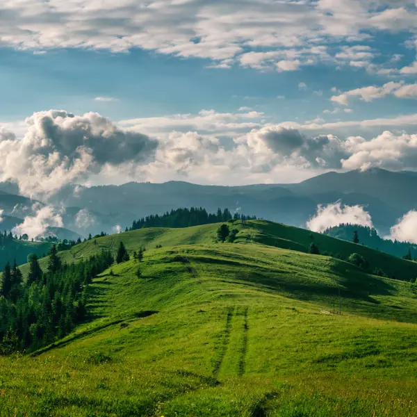 Exploring the Taskforce on Nature-related Financial Disclosures (TNFD) framework