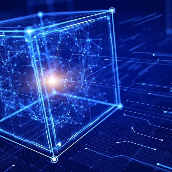 What are digital security risks?