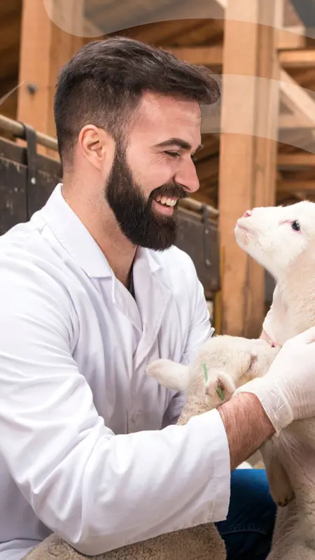 Animalcare Group