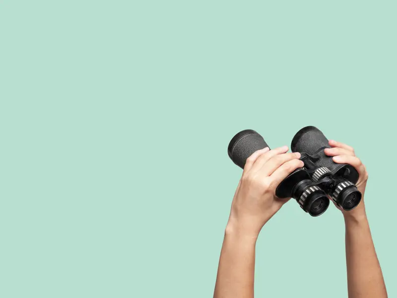 Culture reporting - making it meaningful